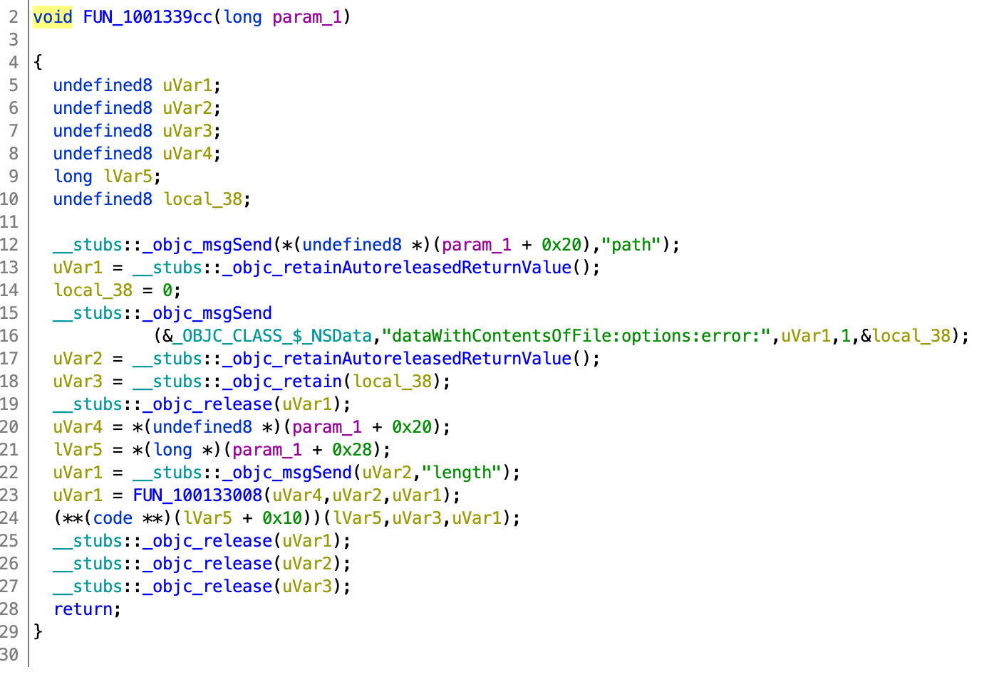 There’s a function at 0x1001339cc calling dataWithContentsOfFile:options:error